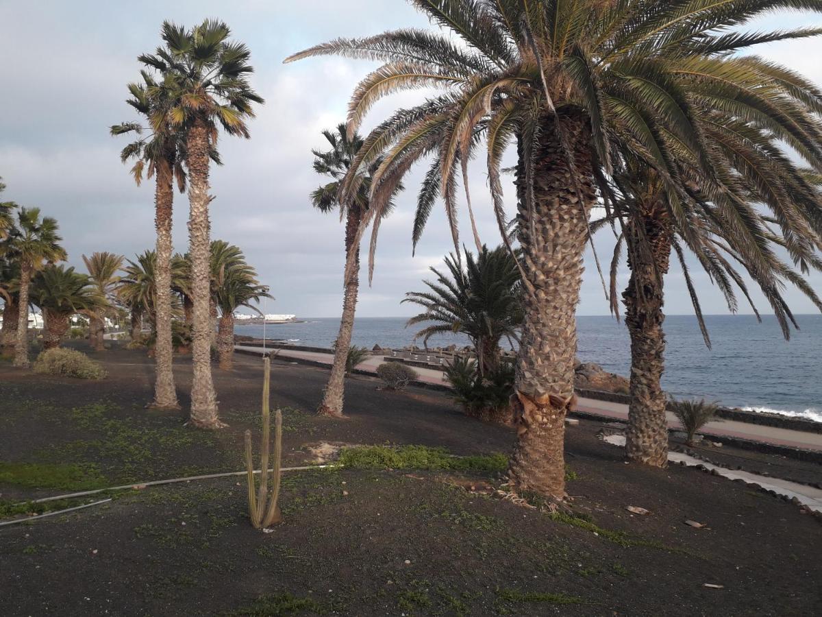 Luxury Apartamento Luz De Mar Complejo Playa Roca コスタ・テギセ エクステリア 写真